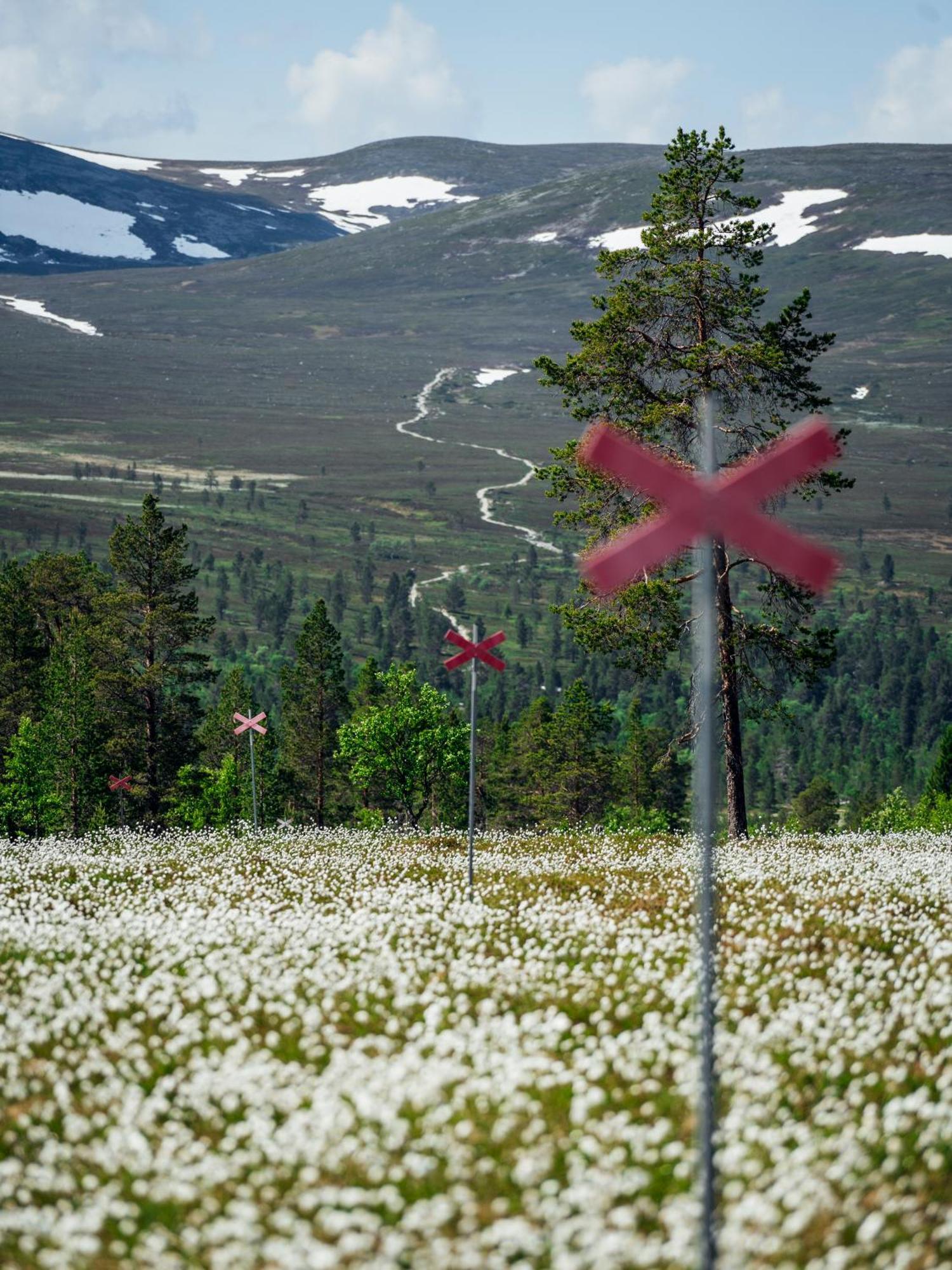 Loevasgardens Fjaellhotell Lovasen Экстерьер фото